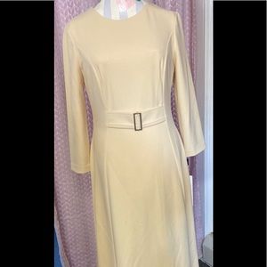 Calvin Klein calf length, long sleeve, business casual dress. Size4.